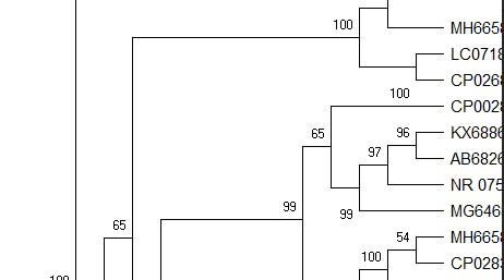 attachments-2019-02-5kaSJDGi5c77aa2ac04af.jpg