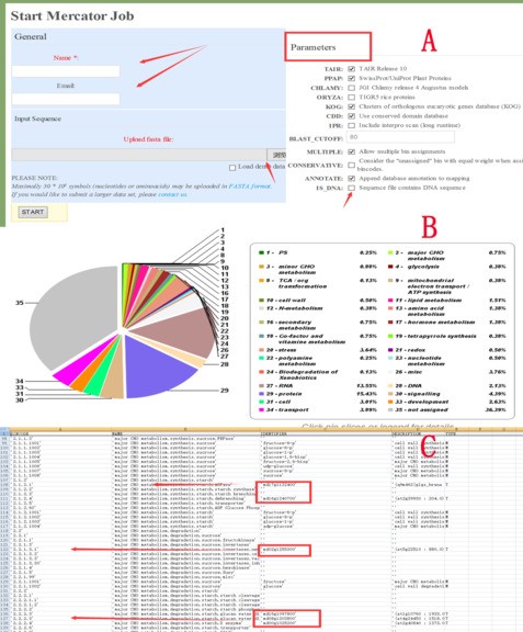 attachments-2018-07-9U2dhqFC5b5137cf694de.jpg