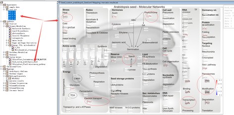 attachments-2018-07-D1h2ibnI5b5138216b340.jpg