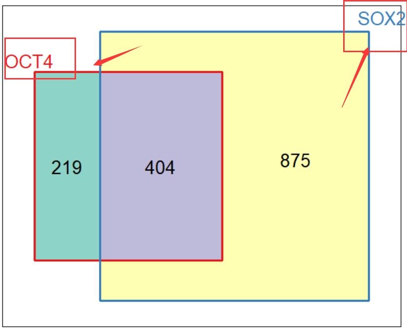 attachments-2018-11-kLO8040J5bdbe1e68516c.jpg