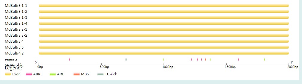 attachments-2020-04-LAc69xnA5e954ed6bc9e7.png