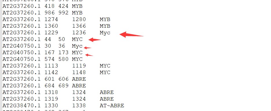 attachments-2020-08-jAphMlEn5f2f65afec410.png