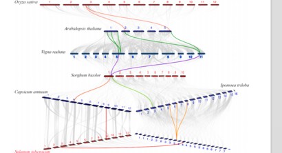 attachments-2022-03-zSl67OEt6233322645d67.png