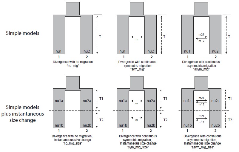 attachments-2023-09-FiMtCuFX65124d662712e.png