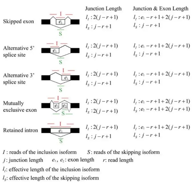 attachments-2024-01-0dRPTVoL65aa0b376c556.png