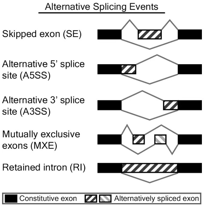 attachments-2024-01-pQ7ei6di65a9f18ed57b2.png