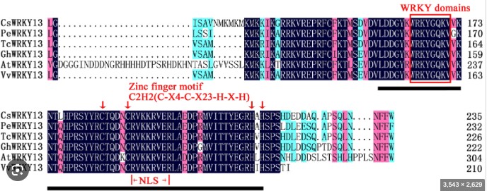 attachments-2024-05-QJUNCCxU665535ec5dd6d.png