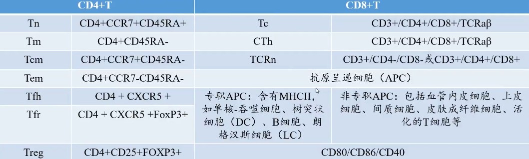 attachments-2024-07-L4jQ6KyO66a1ddf928b56.png