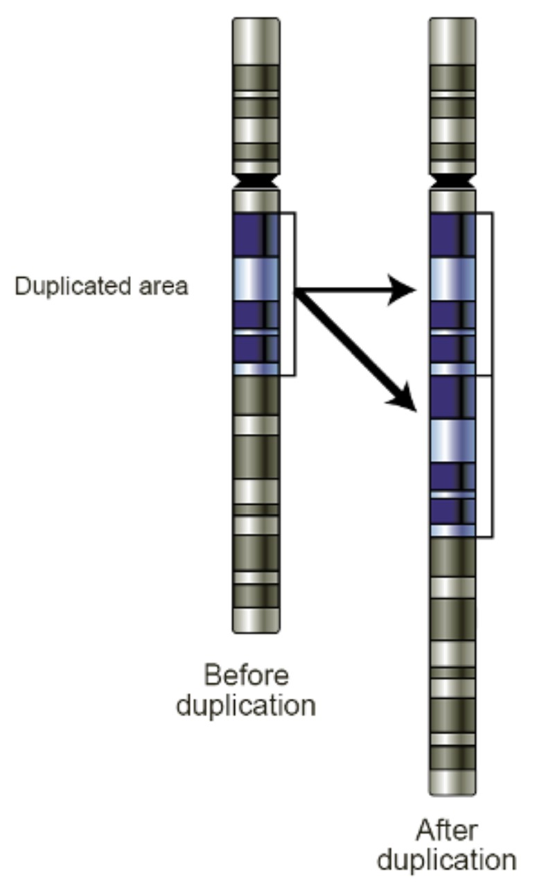 attachments-2024-08-A75upeGj66cc488290b92.png