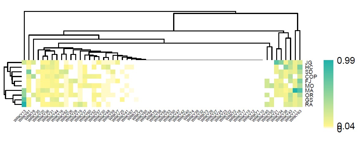 attachments-2024-09-oS1Rnxho66f1629aee980.png