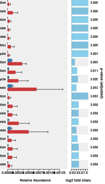 attachments-2024-09-orOORa5d66e627a0df603.png