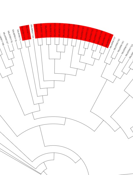 attachments-2024-09-u3kiMZAY66e24ef6254e4.png