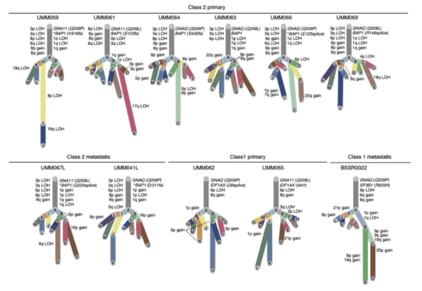 attachments-2025-01-U0AWC1lx67808c30ca255.png