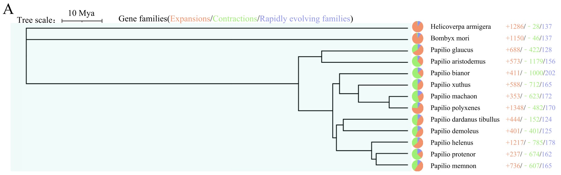 attachments-2025-02-3x4CCzcv67c172cb17b09.png