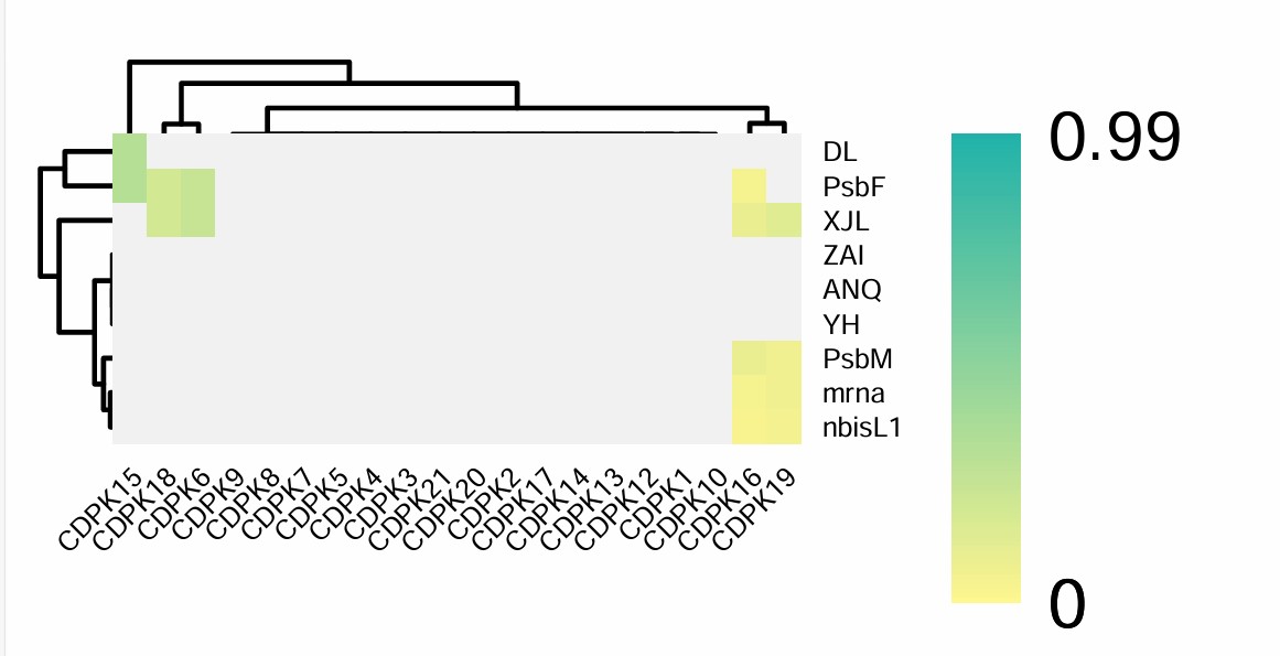 attachments-2025-02-Who1Oi2w67b1c5f850cf7.png