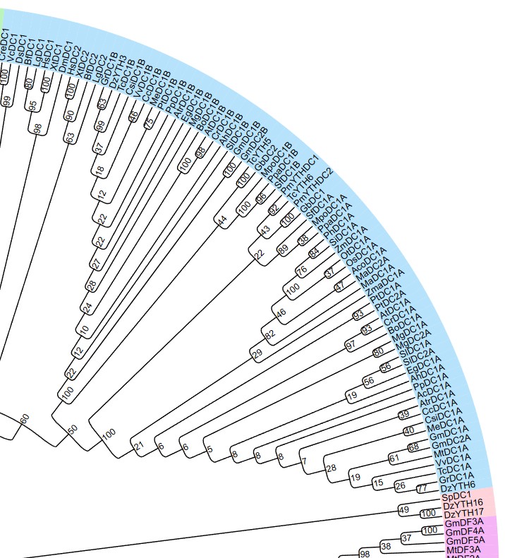 attachments-2025-03-0hYSAIpy67d2e40a44354.png